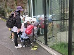 IMG_7373.jpg