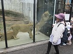 IMG_7379.jpg