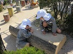 IMG_7725.jpg