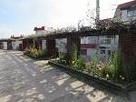 IMG_7839.jpg