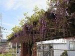 IMG_7843.jpg