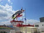 IMG_7850.jpg