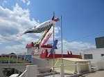 IMG_7851.jpg
