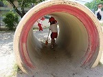 IMG_7918.jpg