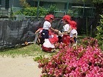 IMG_7920.jpg