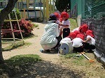 IMG_7921.jpg