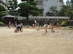IMG_7929.jpg