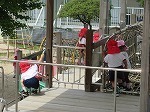 IMG_7933.jpg