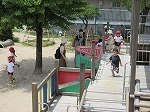 IMG_8043.jpg