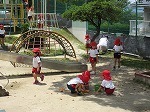 IMG_8199.jpg