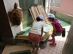IMG_8266.jpg