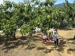 IMG_8310.jpg