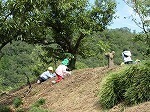 IMG_8328.jpg