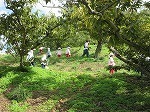 IMG_8490.jpg