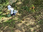 IMG_8493.jpg