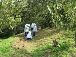 IMG_8495.jpg