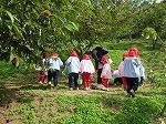IMG_8525.jpg