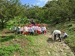 IMG_8526.jpg