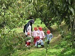 IMG_8530.jpg