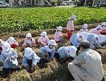 IMG_8694.jpg