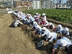 IMG_8697.jpg