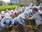 IMG_8699.jpg