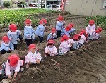 IMG_8713.jpg