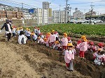 IMG_8717.jpg