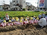 IMG_8808.jpg