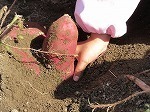 IMG_8811.jpg