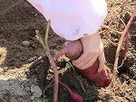 IMG_8817.jpg