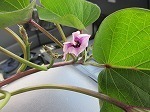 IMG_8830.jpg
