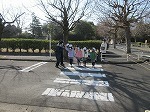 IMG_9011.jpg