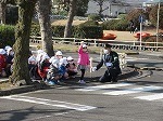 IMG_9015.jpg